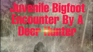 A Hunters Terrifying Encounter with Bigfoot