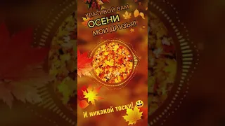 Красивой вам осени, друзья! 🍁🍂