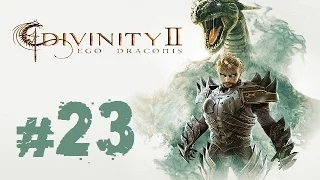 Прохождение Divinity II: Ego Draconis - Часть 23 (Полезные мастера)