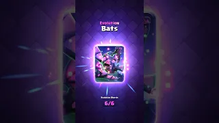 Evolved bats are interesting