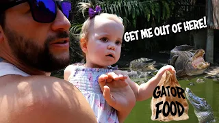 We let our ONE year old feed LIVE Gators!! **smelly belly family vlog**