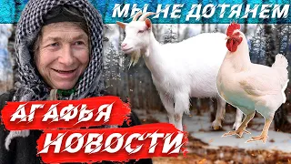 МЫ НЕ ДОТЯНЕМ | УЕЗЖАЮ ИЗ ТАЙГИ? | НОВЫЙ ВИРУС | АГАФЬЯ ЛЫКОВА 2022 | ТАЙГА | СИБИРЬ | ЛЕС | НОВОСТИ