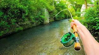 Catching MONSTER Brown Trout out of Small Creeks!! (Fly Fishing)