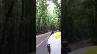 Take me home country road ( The Man made forest in bohol Philippines)