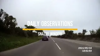 Daily Observations - Snazzy Window