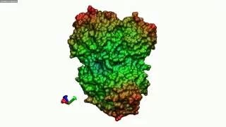 Structure of protien: Molecular Dynamics Simulations