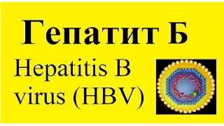 ГЕПАТИТ Б. Вирусный гепатит Б.