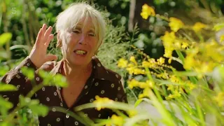 Gardening with Carol Klein🍀Series 3 Episode 3