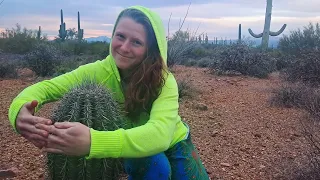 SAGUARO NATIONAL PARK - Tunes & a Tour of the desert - Jeff King & Noelle Saison