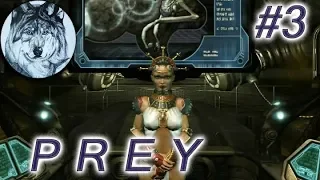 Prey (2006). Прохождение. Part 3. Другие – Тайные замыслы. (no deaths)