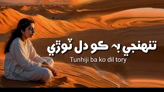 Sindhi Lofi Song | Fozia Soomro | Tunhihi Be Ko Dil Torre | Slowed Reverb Song