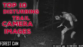 Top 10 Disturbing Trail Camera Images