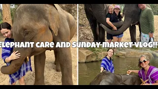 Elephant Care and Sunday Market Vlog!!