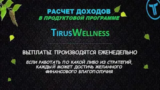 Маркетинг Tirus Wellness Бады от компании Тайрус