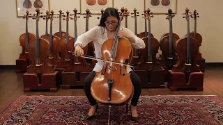 Matthew Furber, London c. 1820, 7/8 size | Cello Demonstration