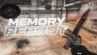 MEMORY REBOOT | CS:GO Edit