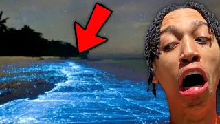 10 PLACES YOU SHOULD NEVER SWIM!