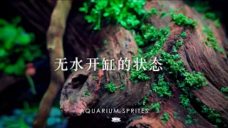 [4K]無水開缸才是最享受的開缸方式