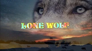 НОВИНИ З ДНІСТРА 22. 04. 2018."LONE WOLF" .