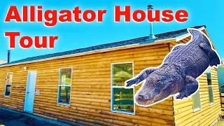 Alligator House: FULL TOUR!!!