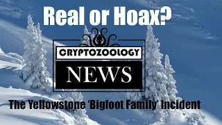 Real or Hoax? The Yellowstone 'Bigfoot Family' Video