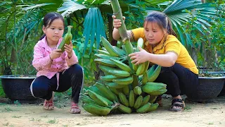 Harvest garden vegetables Bring to the market to sell, Grow ginger with.daughter - Lưu Linh