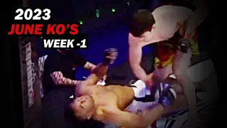 MMA & Boxing Knockouts I June 2023 Week 1