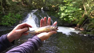 906 Outdoors - Brook Trout Fishing Porcupine Mountains, North Country Trail