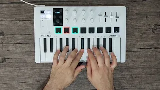 Never gonna give you up - Rick Astley. Cover / Arturia Minilab 3