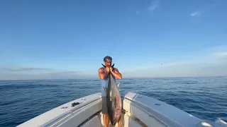 How to Catch A Big Bluefin Tuna Solo