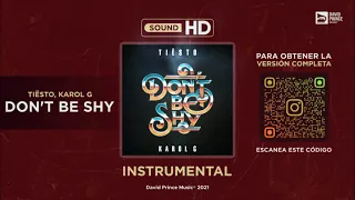 Tiësto & Karol G - Don't Be Shy 🎶 INSTRUMENTAL (By David Prince Music)