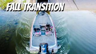 BASS BUSTING SHAD - Bass Fishing during the Fall Transition