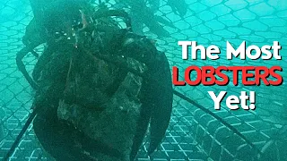 GoPro in a Lobster Trap! 😲 | The Most Lobsters Yet!