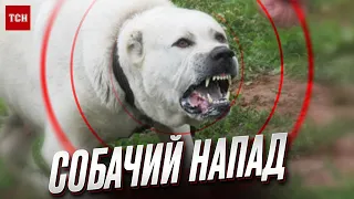 🐕 😱 Розірвали до смерті! Двоє величезних псів-вбивць тримають у страху Львівщину