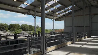 Grant-spec sheep sheds in Co. Mayo