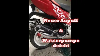 Wasserpumpe am Speedfight 2 ist NICHT zu reparieren / NEUER AUSPUFF / Boxer_Bus_Garage