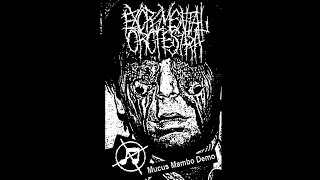 Excremental Orchestra - Mucus Mambo demo tape ( Noisecore 2024 )