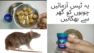 How to get rid of rats fast | Get rid of mice fast | Chuhun se mukamal nijat #viral