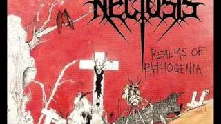Necrosis - Plutonic Enclosure