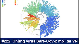 #222. Chủng mới virus Sars-Cov-2 gây bệnh Covid-19 tại Việt Nam là gì?
