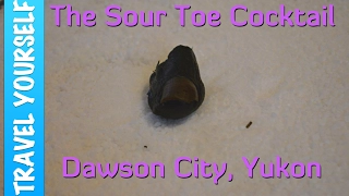 Trying the Sourtoe Cocktail in Dawson City, Yukon