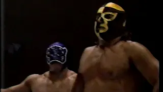 CMLL TV (November 24th, 1991)