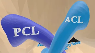 ACL and PCL (Made EXTREMELY Easy!