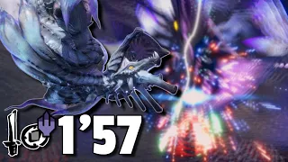 Wind Serpent Ibushi vs. Frostcraft Sword and Shield | 【MH:Rise Sunbreak】