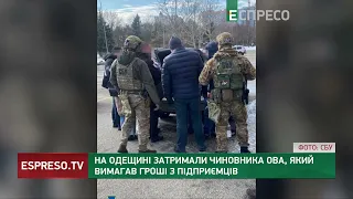 Спіймали на хабарі: на Одещині затримали чиновника ОВА