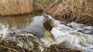 BEAVER DAM REMOVAL! | BIGGEST LEVELS DIFFERENCE!