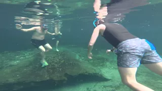 Wekiwa Springs State Park, No Mount Cave