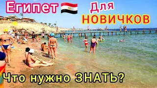 ВПЕРВЫЕ в ЕГИПТЕ 🇪🇬  Что нужно знать неопытному ТУРИСТУ. СЕКРЕТЫ шикарного отдыха и СОВЕТЫ новичкам