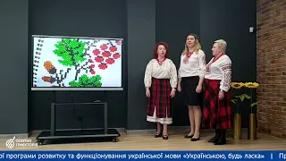 КЗДО № 33 ДМР