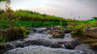 Sblocca Serenità: l'armonia dell'acqua del fiume con rilassanti melodie di pianoforte